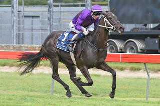 Dijon Bleu (NZ) claimed a runaway win in the Group 3 Metroclad-Terracade Desert Gold Stakes at Trentham. Photo: Race Image Palmerston North